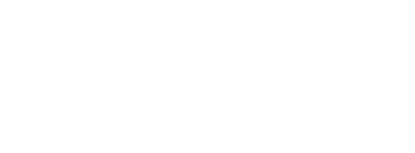 Brand partner logo from the 4P Marketing portfolio